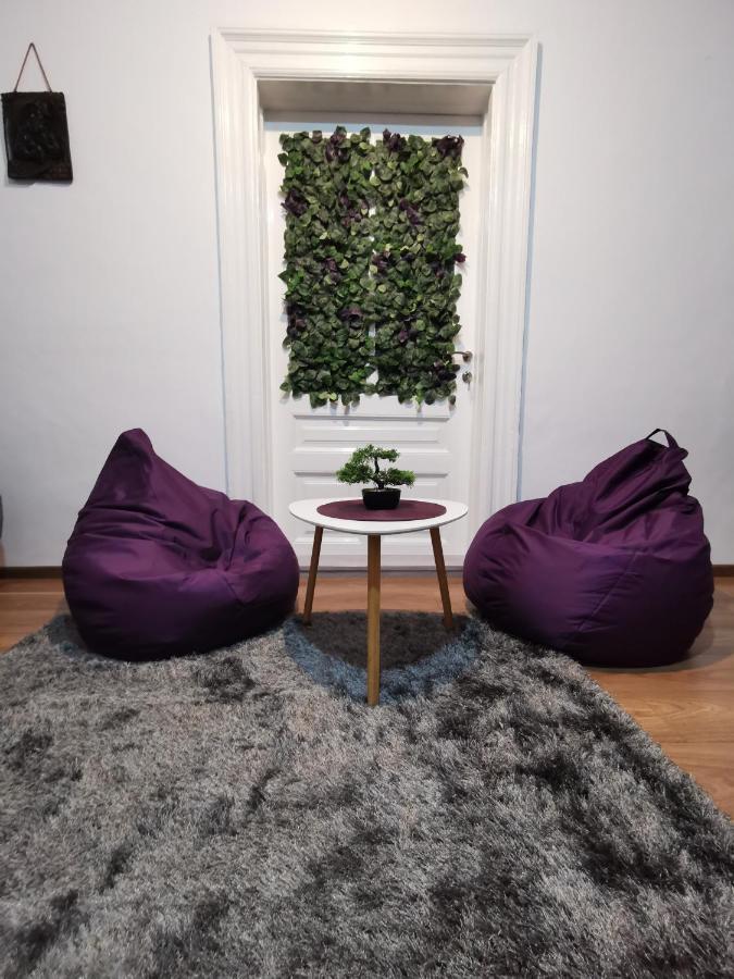 Fun House - Spacious Apartment Near Old Town Brasov Exterior photo